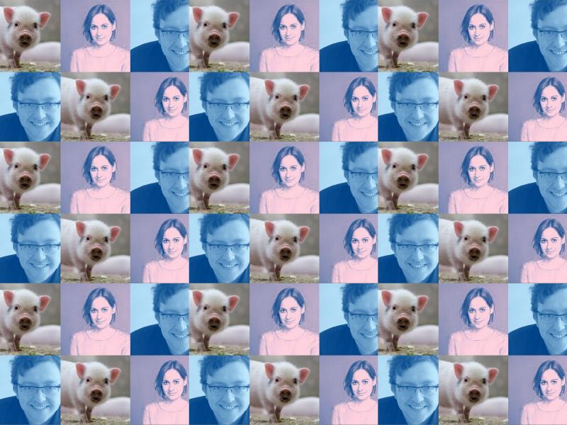 /upload/images/Veranstaltungen/2026/schwein-werbefoto.jpg
