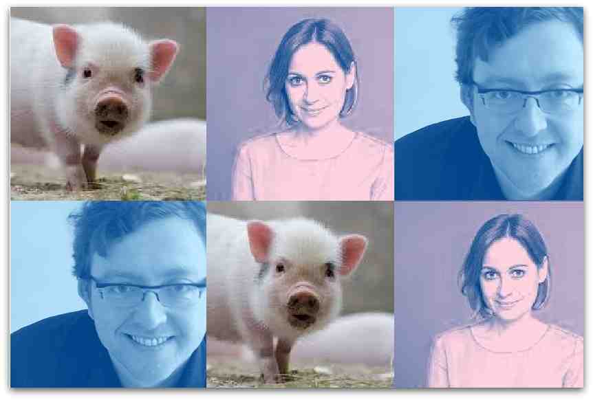 /upload/images/Veranstaltungen/2026/schwein-werbefoto.jpg